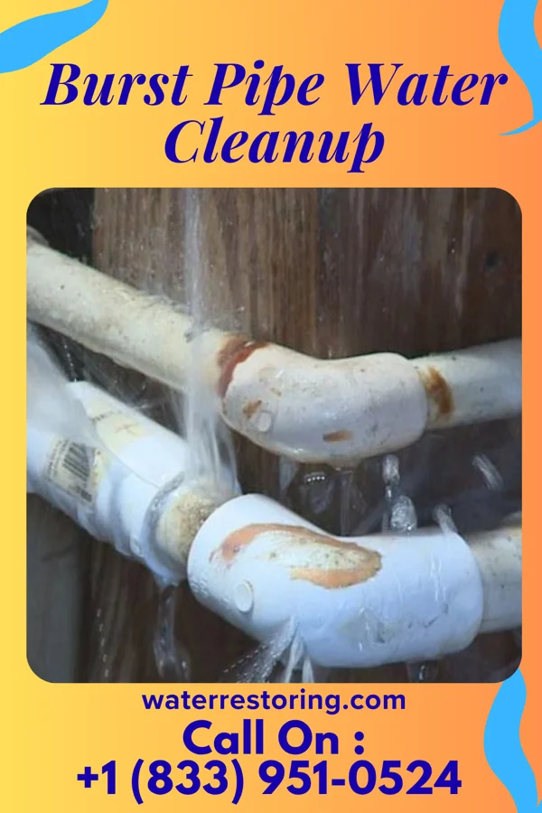 Burst Pipe Water Cleanup in Metzger, OR