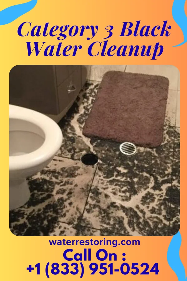Category 3 Black Water Cleanup in Metzger, OR