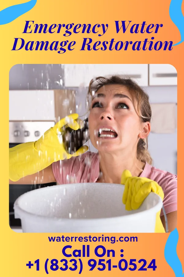 Emergency Water Damage Restoration in Metzger, OR