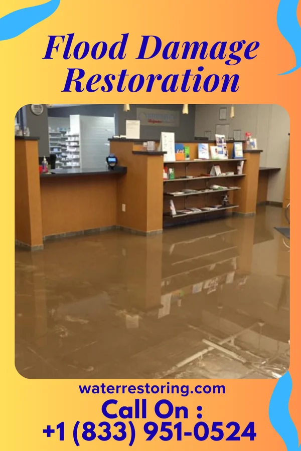 Flood Damage Restoration in Metzger, OR