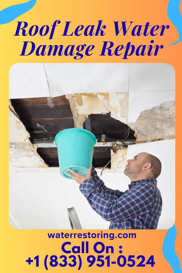 Roof Leak Water Damage Repair in Metzger, OR